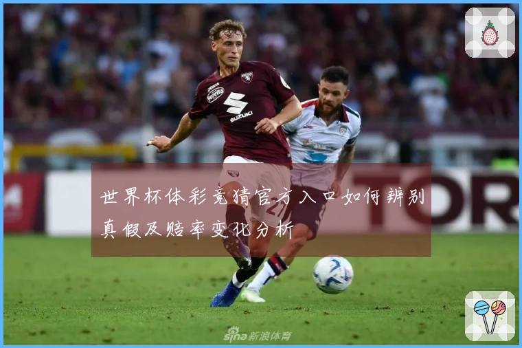 世界杯体彩竞猜官方入口如何辨别真假及赔率变化分析