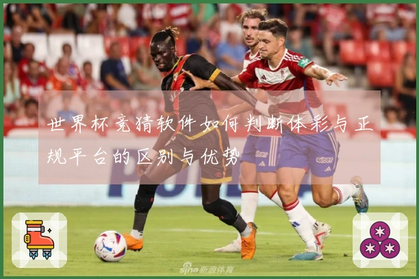 世界杯竞猜软件如何判断体彩与正规平台的区别与优势