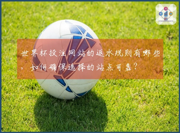 世界杯投注网站的返水规则有哪些，如何确保选择的站点可靠？