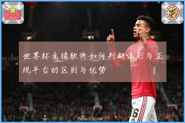 世界杯竞猜软件如何判断体彩与正规平台的区别与优势