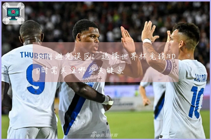 如何避免误区:选择世界杯竞猜app时需关注哪些关键点