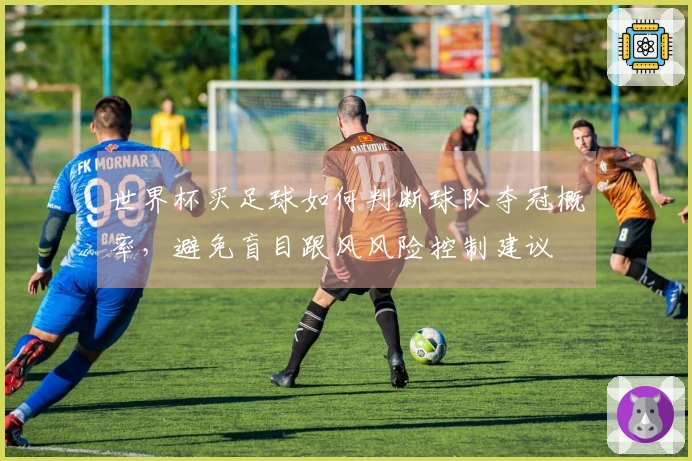 世界杯买足球如何判断球队夺冠概率,避免盲目跟风风险控制建议