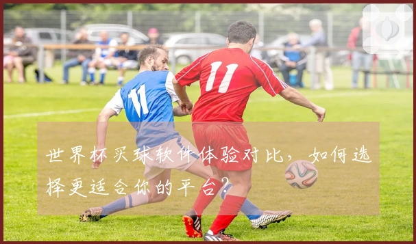 世界杯买球软件体验对比，如何选择更适合你的平台？