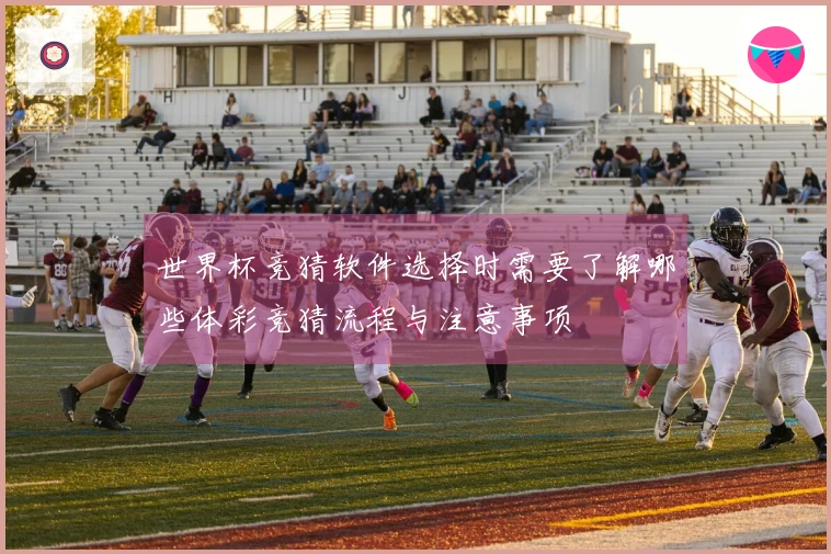 世界杯竞猜软件选择时需要了解哪些体彩竞猜流程与注意事项