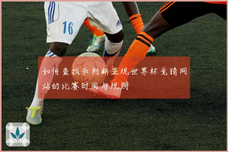 如何查找和判断正规世界杯竞猜网站的比赛时间与规则