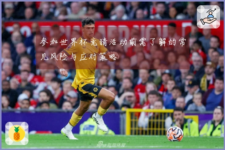 参加世界杯竞猜活动前需了解的常见风险与应对策略