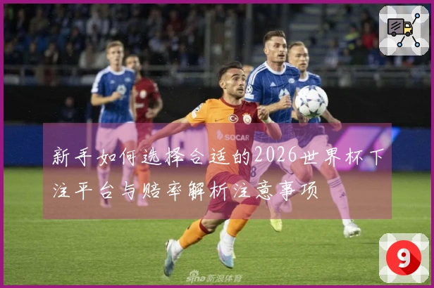 新手如何选择合适的2026世界杯下注平台与赔率解析注意事项