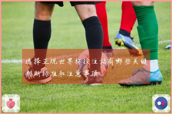 选择正规世界杯投注站有哪些关键判断标准和注意事项