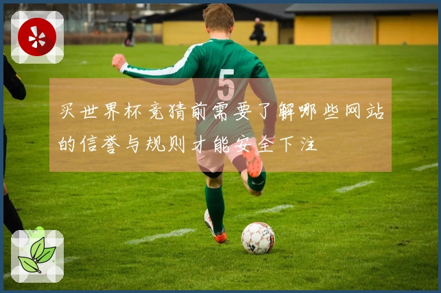 买世界杯竞猜前需要了解哪些网站的信誉与规则才能安全下注