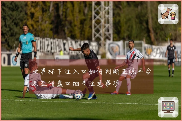 世界杯下注入口如何判断正规平台及亚洲盘口细节注意事项