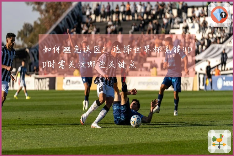 如何避免误区：选择世界杯竞猜app时需关注哪些关键点
