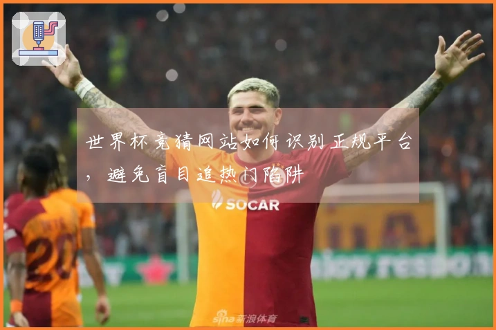 世界杯竞猜网站如何识别正规平台,避免盲目追热门陷阱