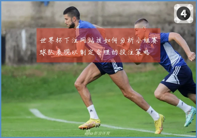 世界杯下注网站该如何分析小组赛球队表现以制定合理的投注策略