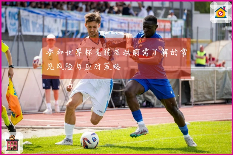 参加世界杯竞猜活动前需了解的常见风险与应对策略