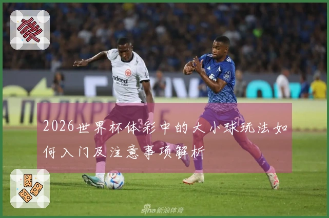 2026世界杯体彩中的大小球玩法如何入门及注意事项解析
