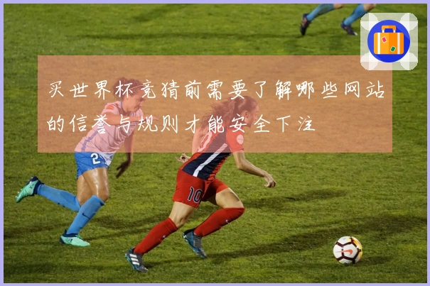 买世界杯竞猜前需要了解哪些网站的信誉与规则才能安全下注