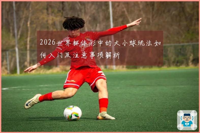 2026世界杯体彩中的大小球玩法如何入门及注意事项解析