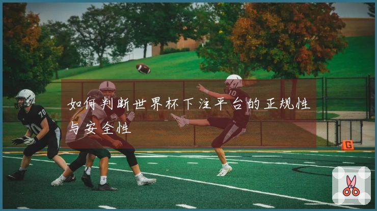 如何判断世界杯下注平台的正规性与安全性