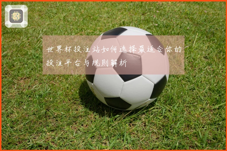 世界杯投注站如何选择最适合你的投注平台与规则解析
