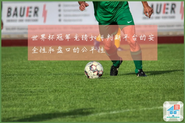 世界杯冠军竞猜如何判断平台的安全性和盘口的公平性