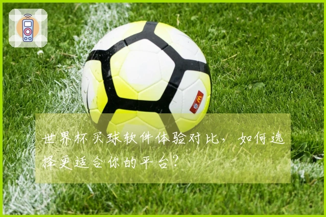 世界杯买球软件体验对比，如何选择更适合你的平台？