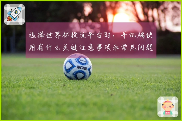 选择世界杯投注平台时,手机端使用有什么关键注意事项和常见问题?