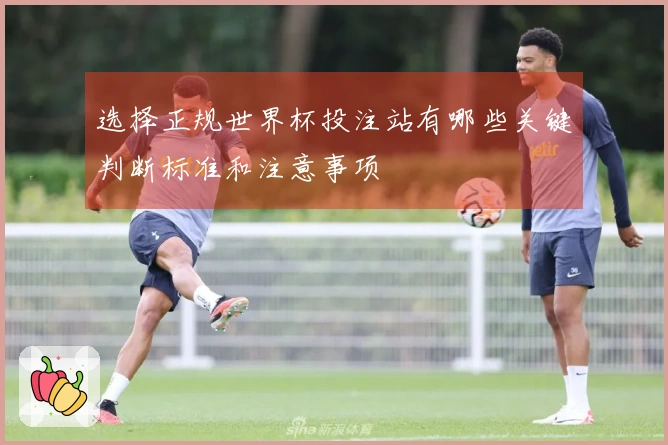 选择正规世界杯投注站有哪些关键判断标准和注意事项