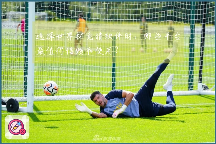 选择世界杯竞猜软件时，哪些平台最值得信赖和使用？