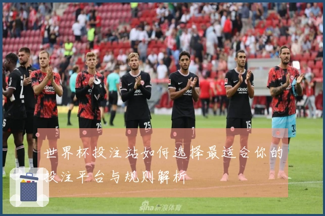 世界杯投注站如何选择最适合你的投注平台与规则解析
