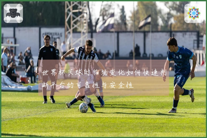世界杯买球时临场变化如何快速判断平台的可靠性与安全性