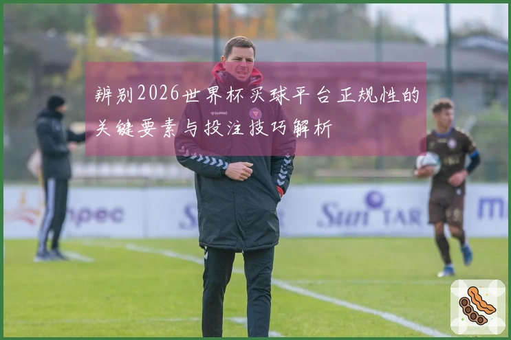 辨别2026世界杯买球平台正规性的关键要素与投注技巧解析