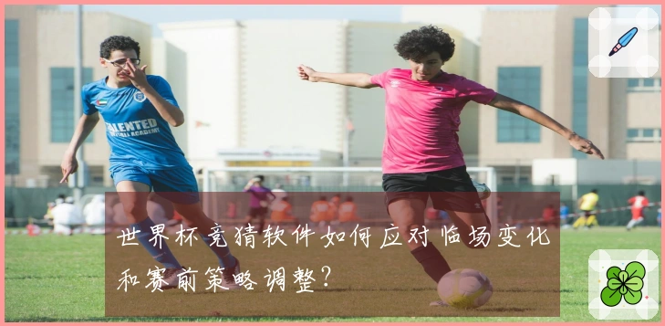 世界杯竞猜软件如何应对临场变化和赛前策略调整？